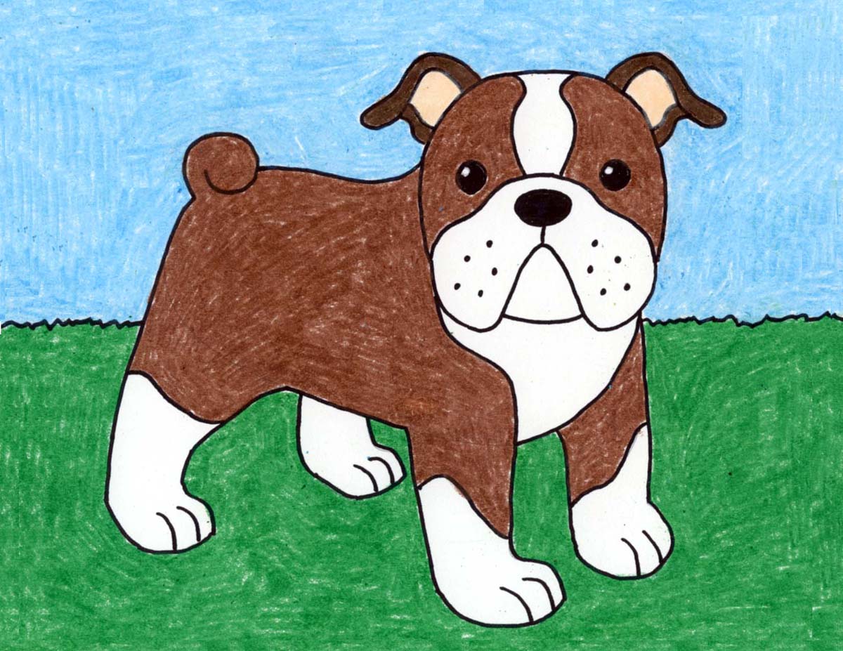 Easy How to Draw a French Bulldog Tutorial and Bulldog Coloring Page