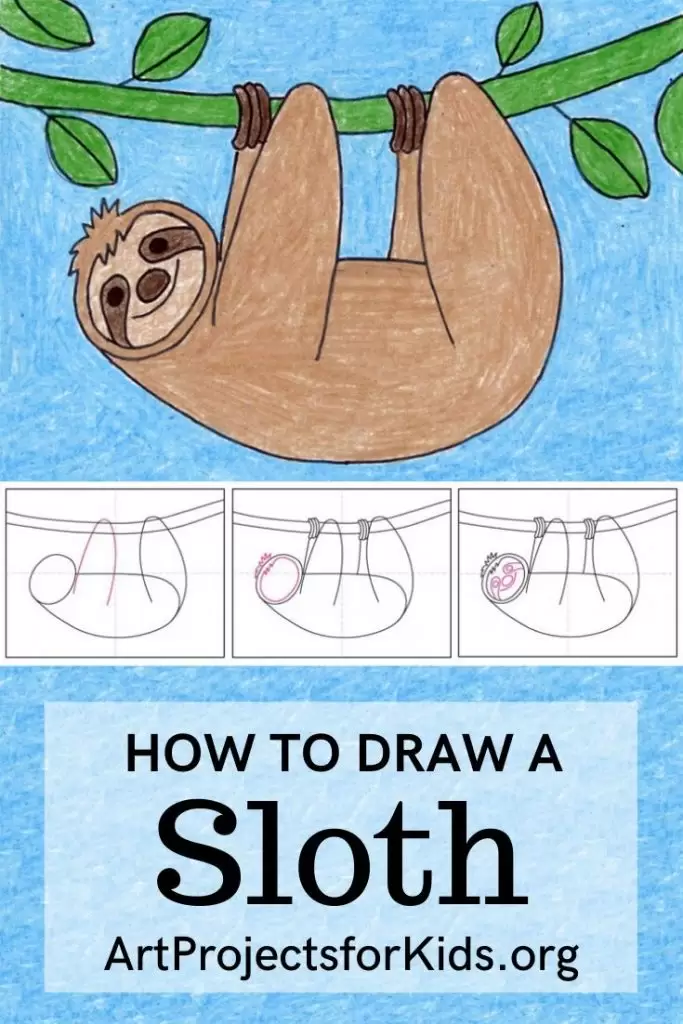 How To Draw A Sloth Easy Step By Step — Steemit