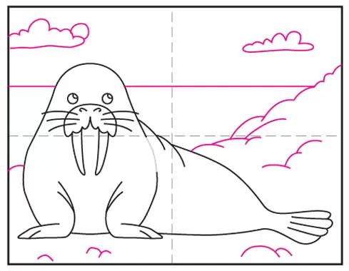 Learn How to Draw a Walrus - NWF