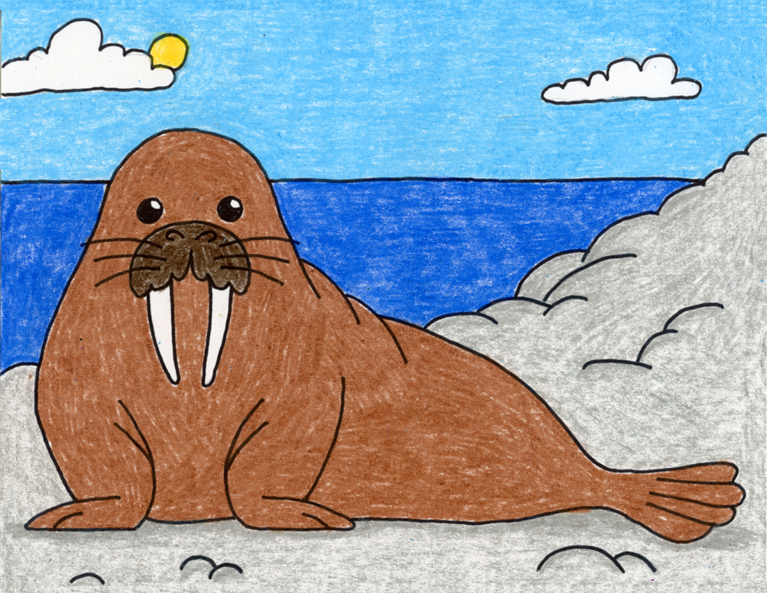 Simple Draw A Walrus Tutorial And Walrus Coloring Web Page Fkakidstv