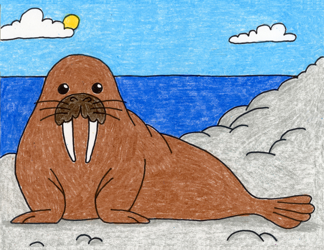 Simple Draw a Walrus Tutorial and Walrus Coloring Web page FKAkidstv