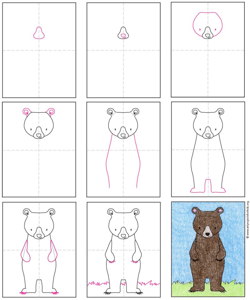 Easy How to Draw a Bear Standing Up Tutorial and Coloring Page