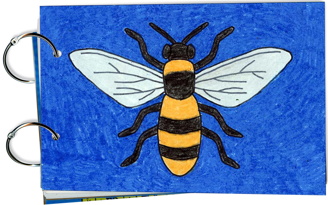 How to Draw a Bee | Bee Coloring Page