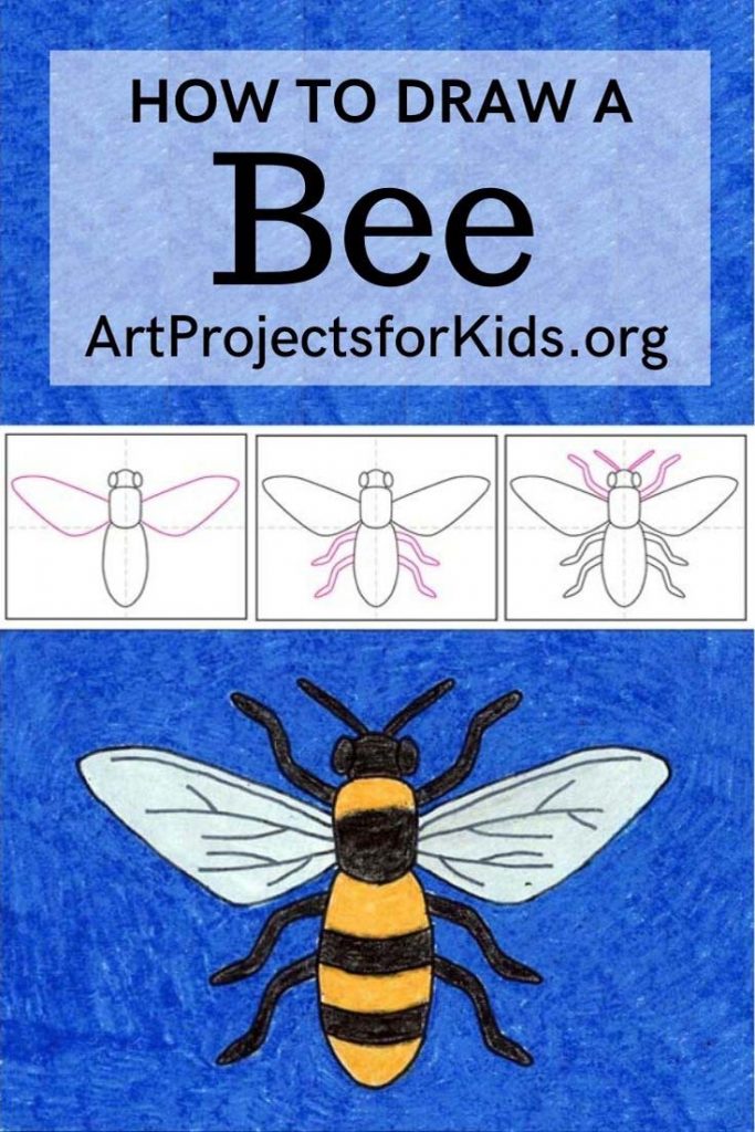 How to Draw Bee with the help of an easy step by step tutorial.