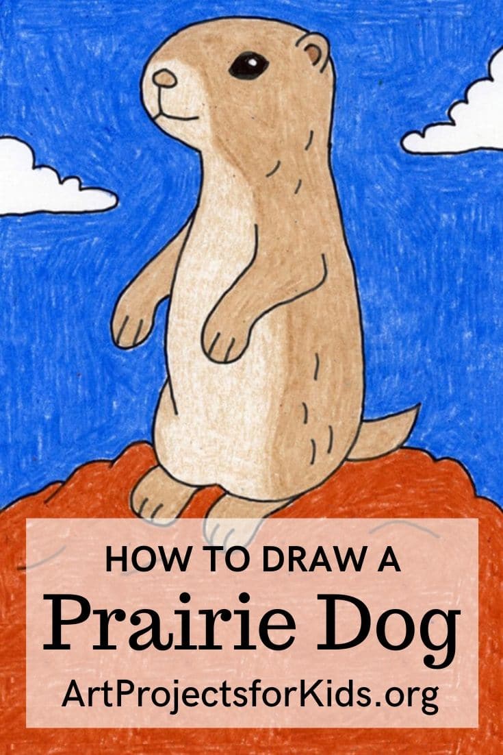 Easy How to Draw a Prairie Dog Tutorial and Prairie Dog Coloring Page