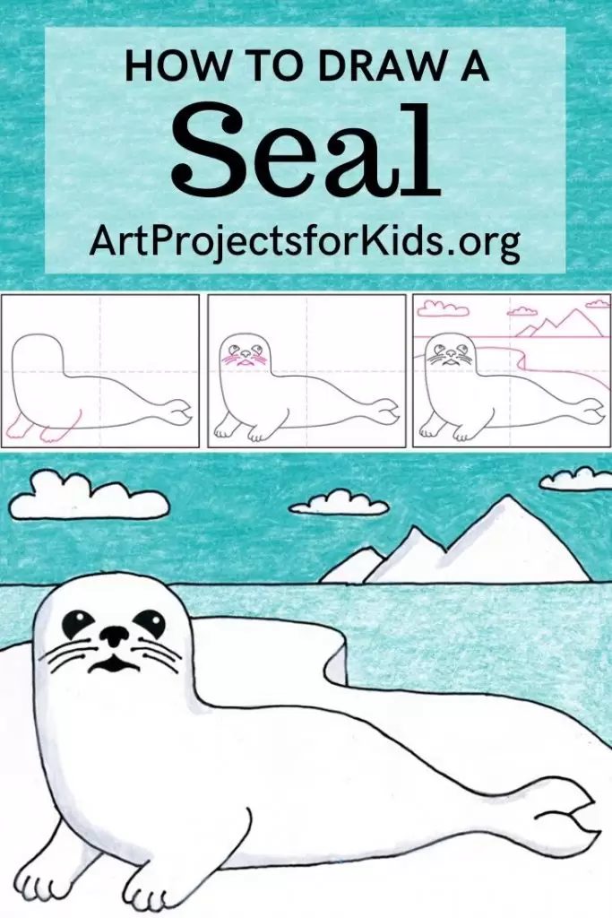 cute seal drawing step by step