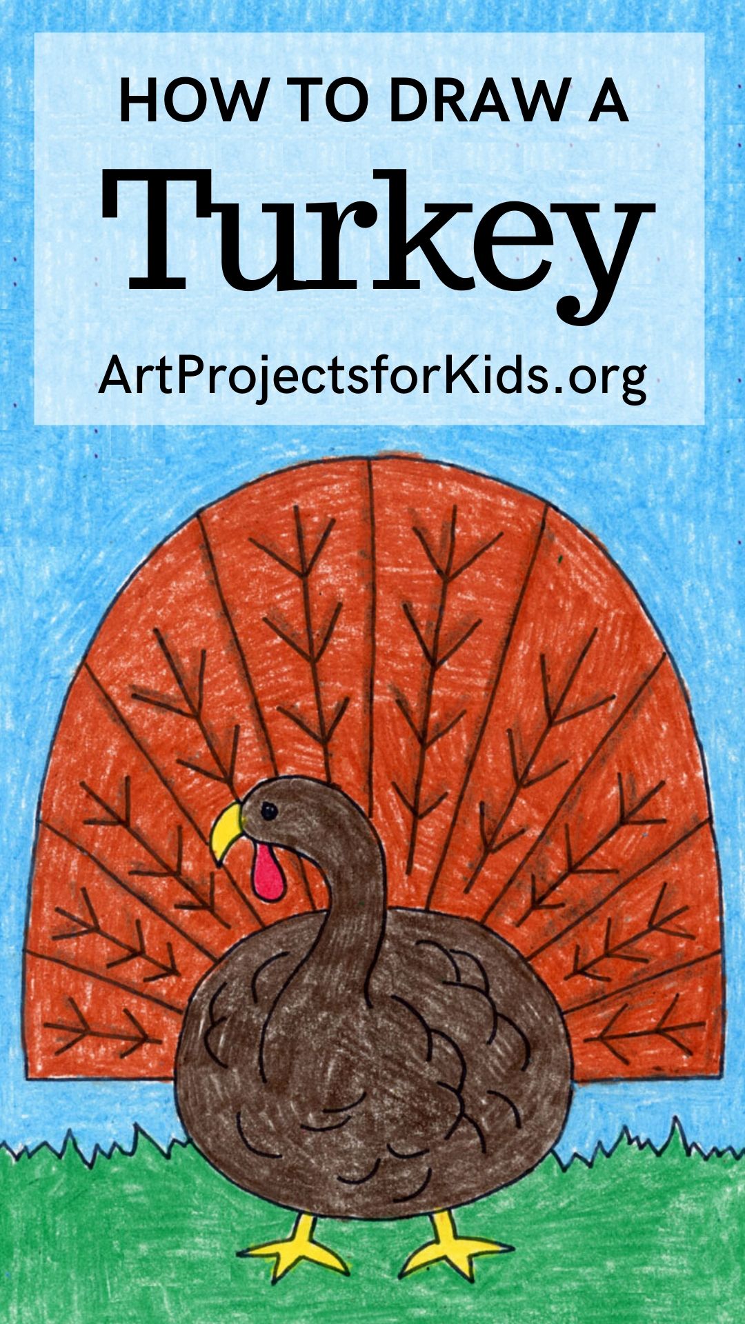 easy-how-to-draw-turkey-tutorial-and-turkey-coloring-page