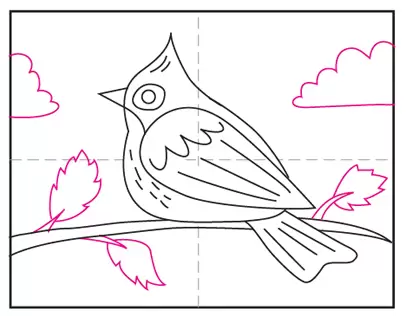 HOW TO DRAW a Blue Jay Bird - easy drawing for kids - coloring