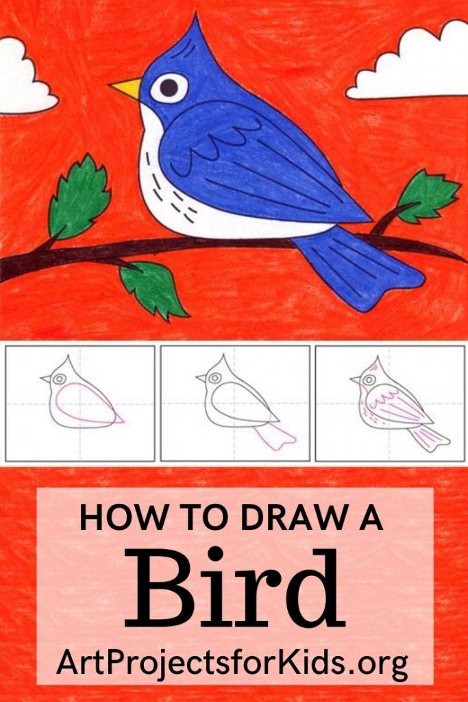 How to Draw a Bird · Art Projects for Kids