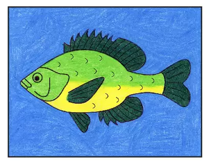 How to Draw A FISH STEP BY STEP - YouTube