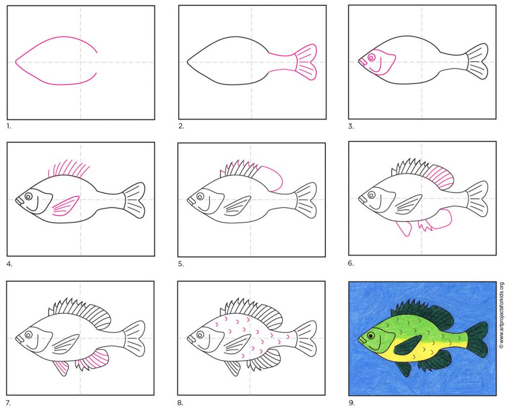 How to Draw a Fish Fish Coloring Page
