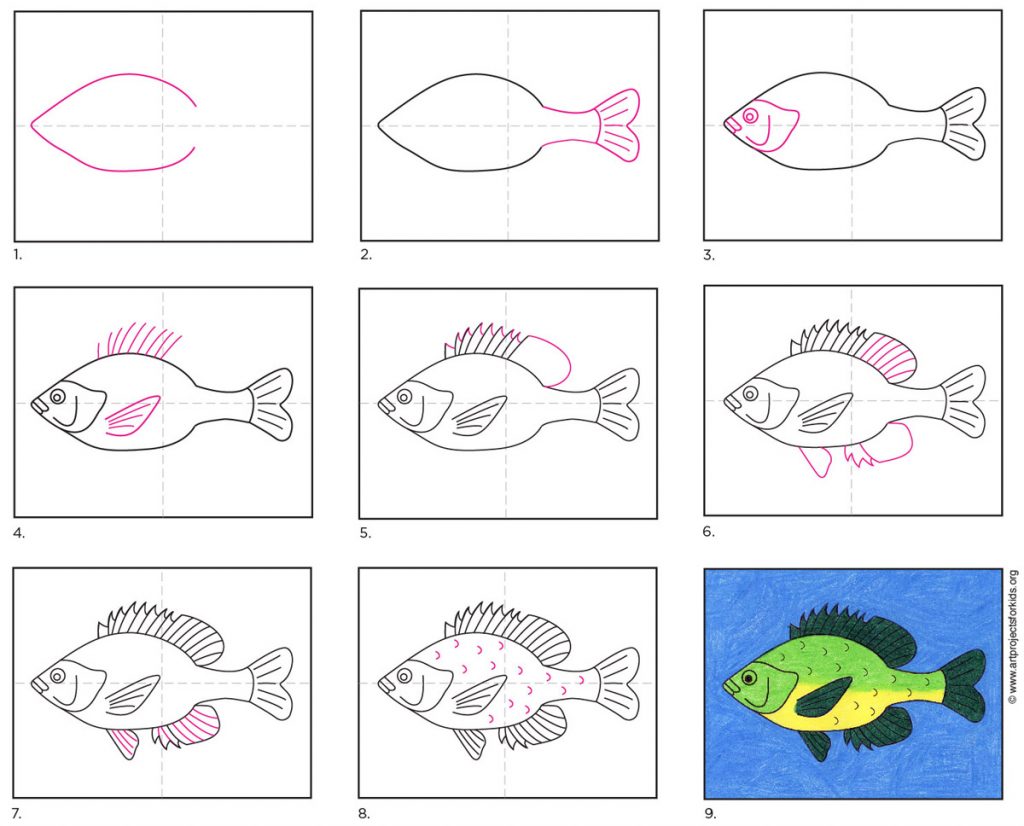 How To Draw A Fish For Kids How To Draw For Kids | Images and Photos finder