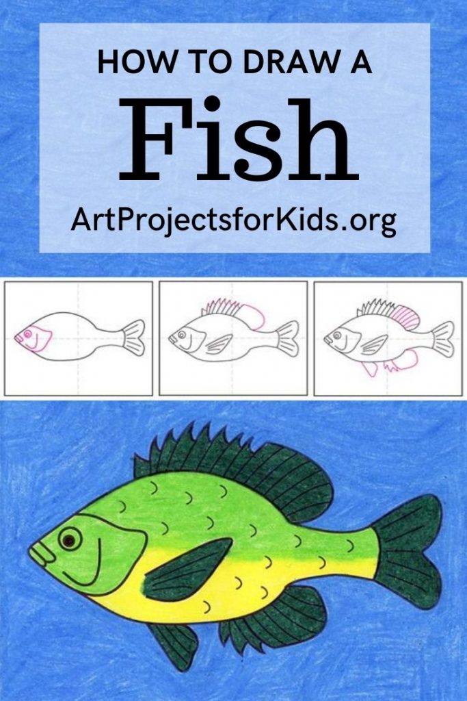 How to draw a fish