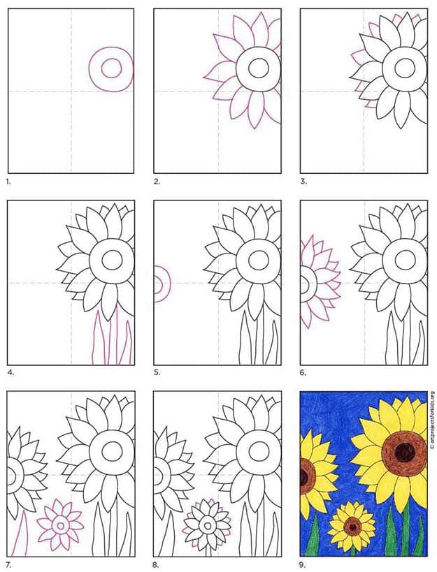 A step by step tutorial for how to draw an easy Sunflower, also available as a free download.