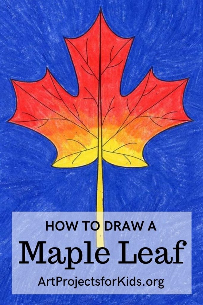 How to Draw a Maple Leaf Art Projects for Kids