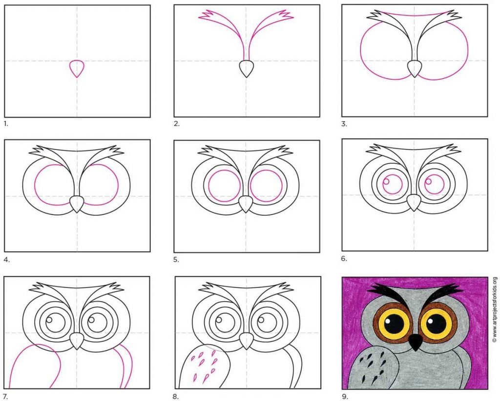 How To Draw An Owl Face Art Projects For Kids