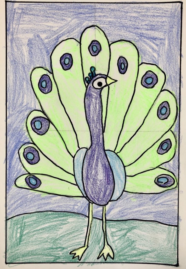 An easy peacock drawing by a student.