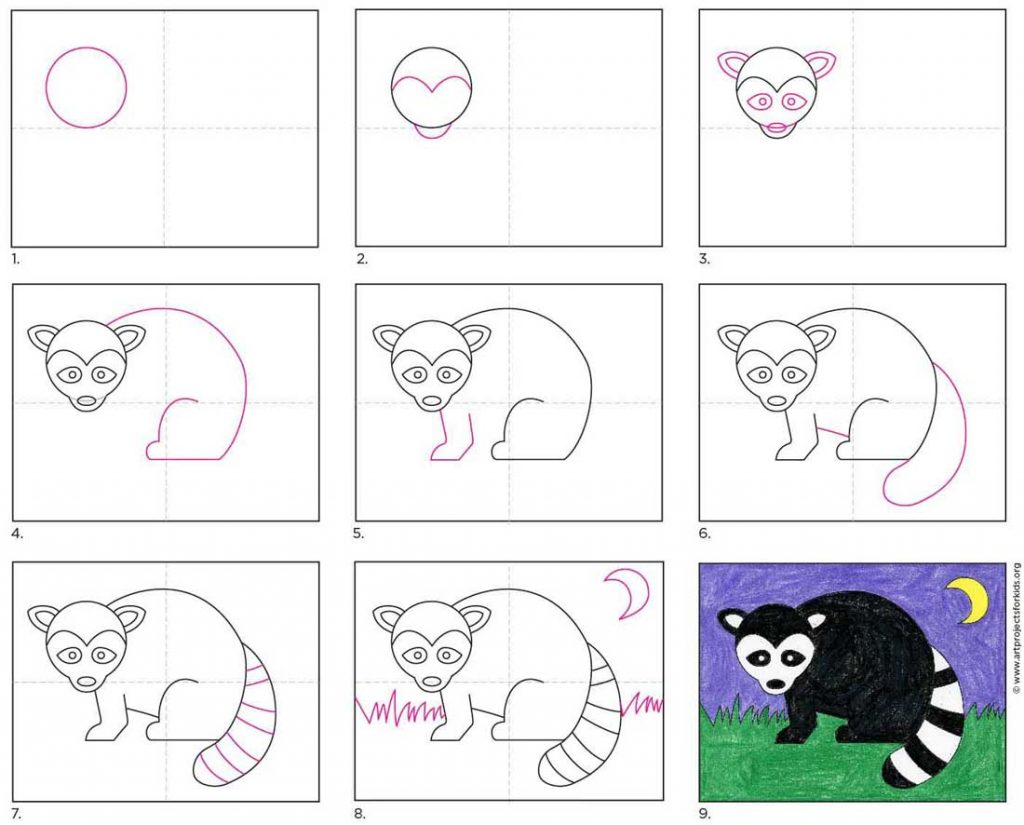 How To Draw A Raccoon Art Projects For Kids