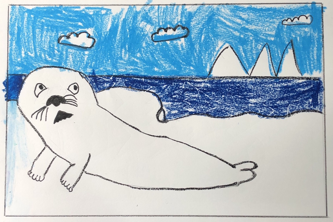 Easy How to Draw a Seal Tutorial and Seal Coloring Page