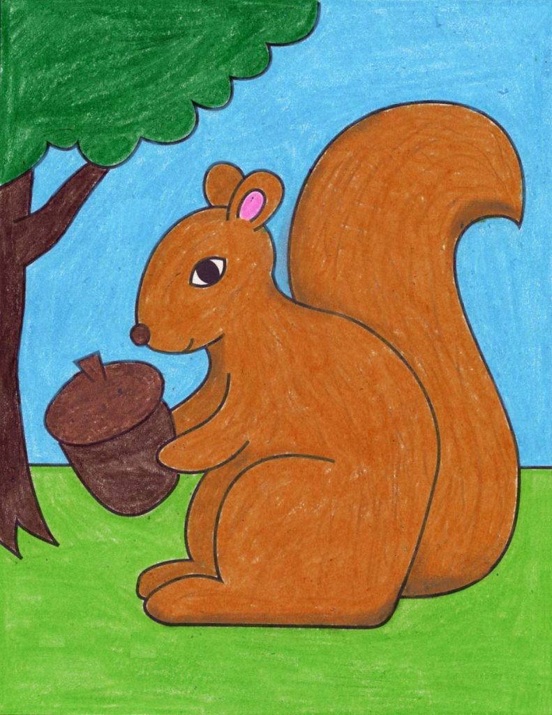 How To Draw A Squirrel Art Projects For Kids