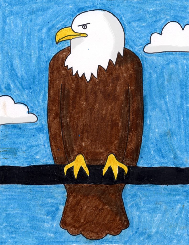 How to Draw a Bald Eagle · Art Projects for Kids