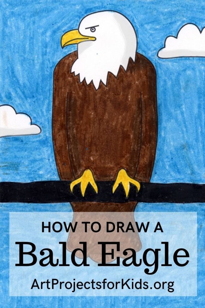 A drawing of a Bald Eagle, made with the help of an easy step by step tutorial.