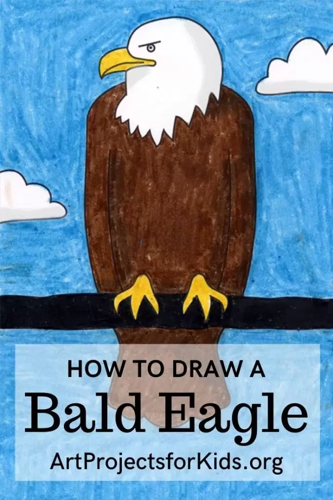 Рисунок белоголового орлана, сделанный с помощью простого пошагового руководства.