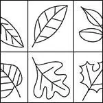 Leaf drawing coloring page