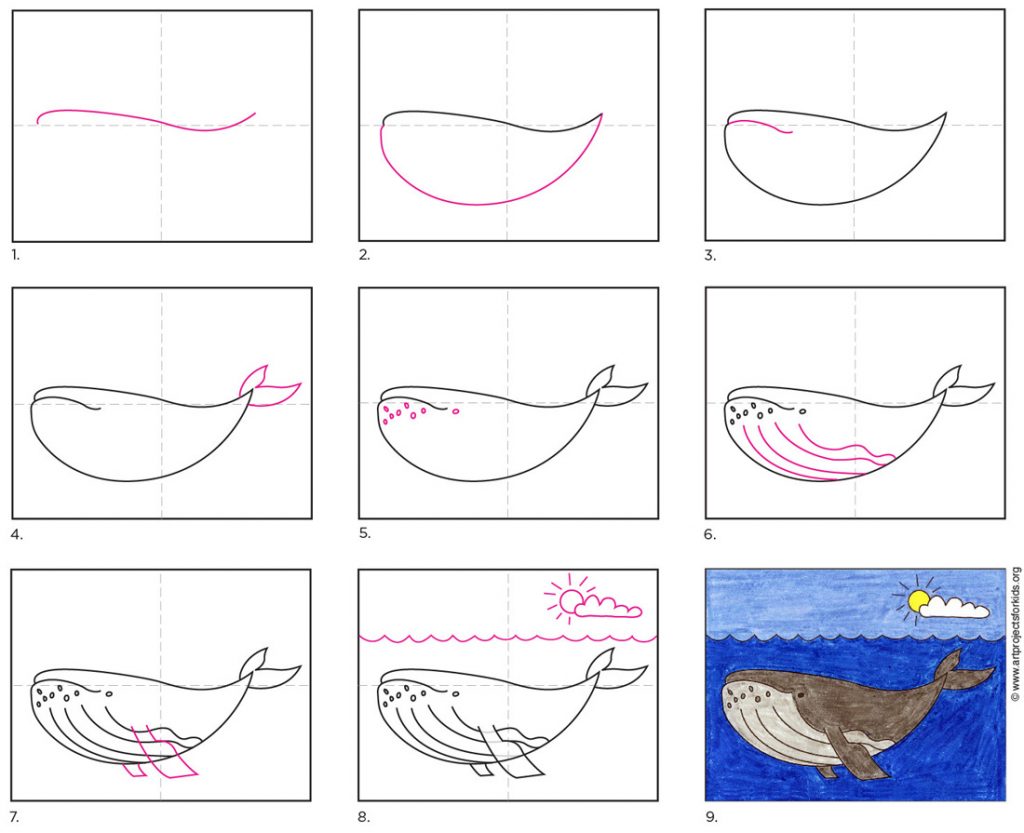Featured image of post Whale Drawing Easy For Kids