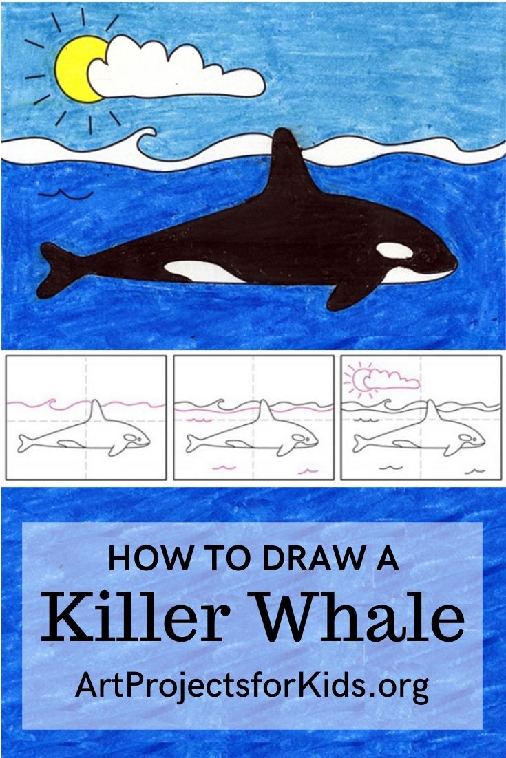 How to Draw a Killer Whale · Art Projects for Kids