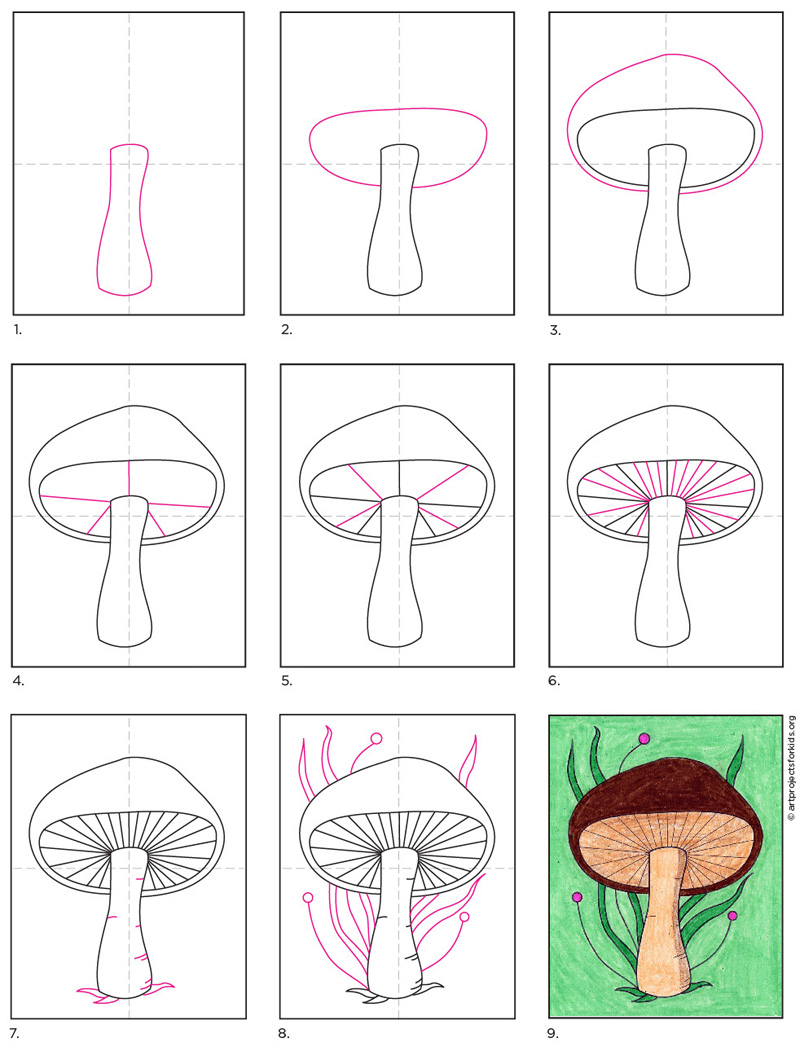 How To Draw A Mushroom Art Projects For Kids   Mushroom Diagram 