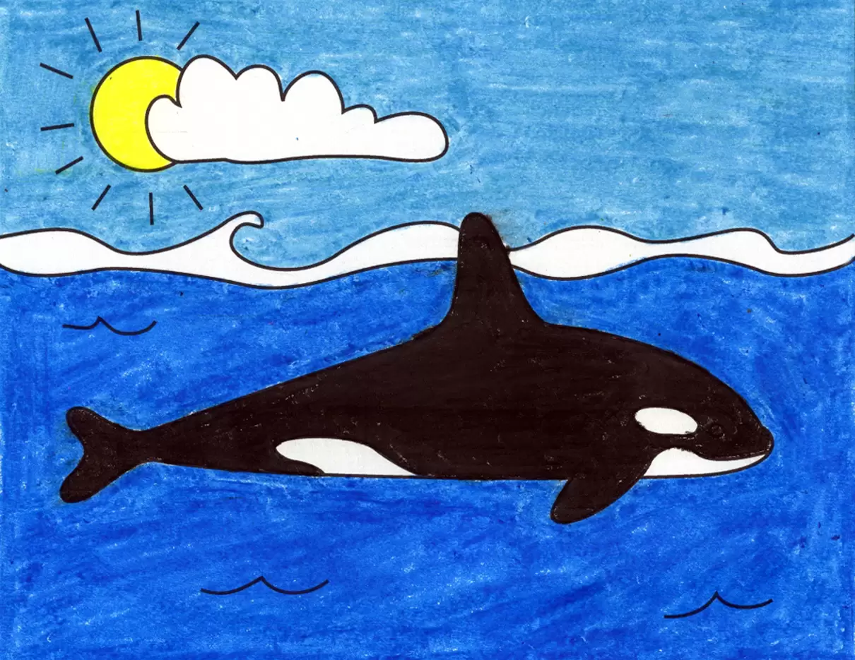 Easy How to Draw a Killer Whale Tutorial and Killer Whale Coloring Page