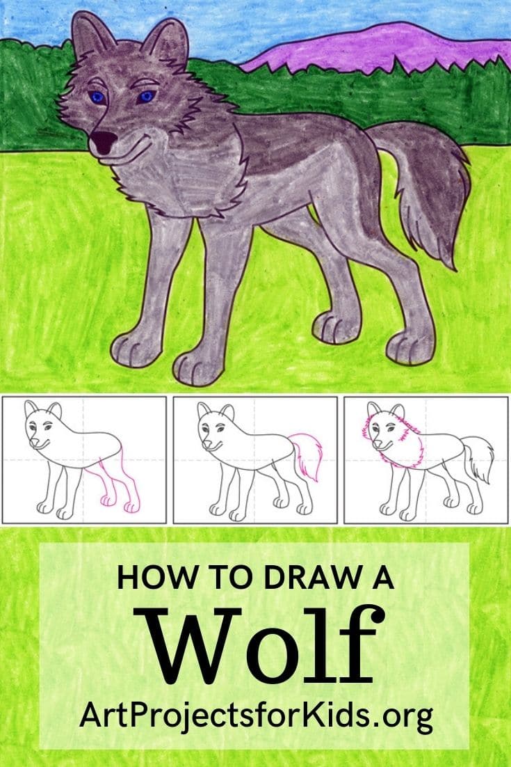 how to draw wolf easy Learn how to draw charles darwin (famous people ...