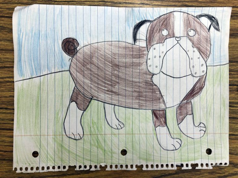 Easy How to Draw a Bulldog Tutorial and Bulldog Coloring Page