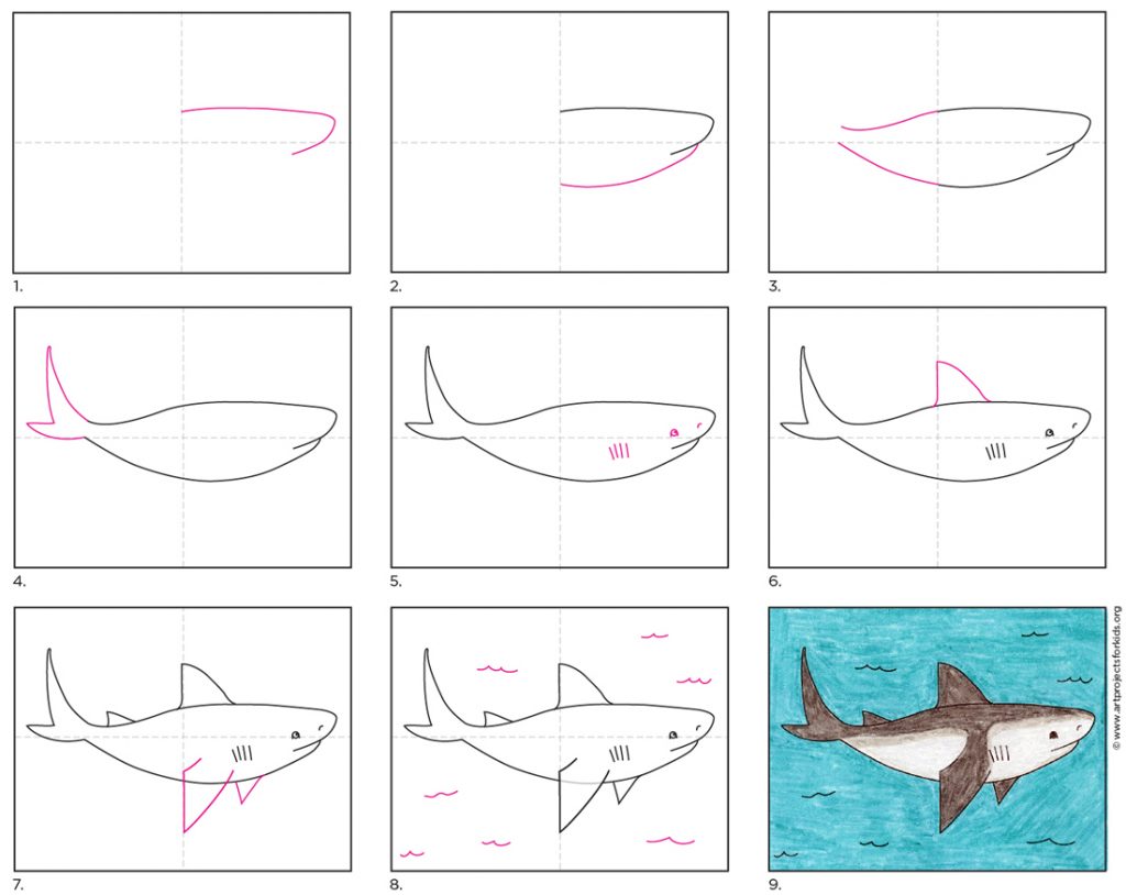 draw shark