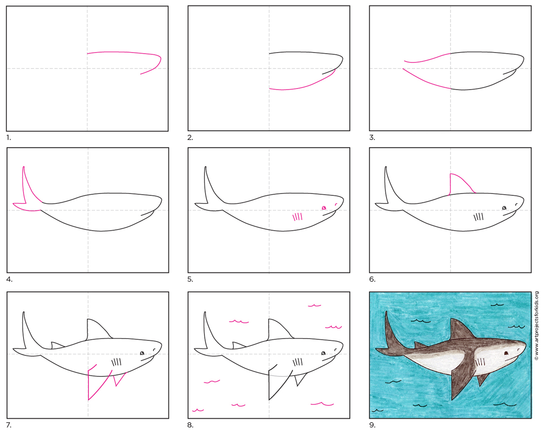  How to Draw  a Shark  Art Projects for Kids