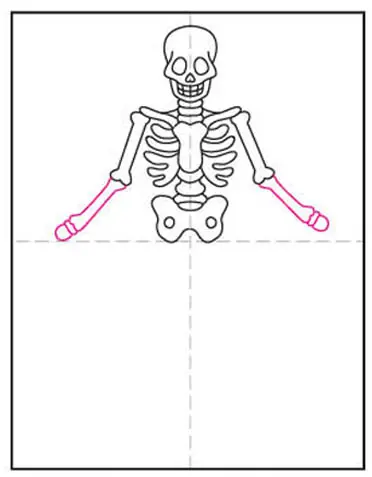 Free Vector  Outline drawing of a human skeleton