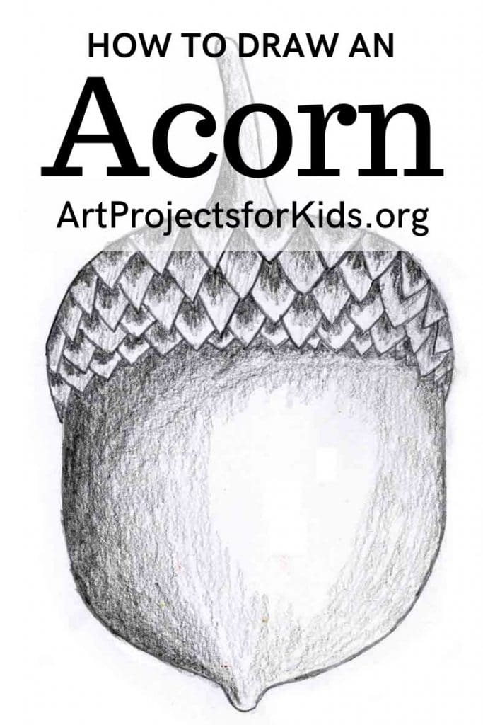 acorn drawing app