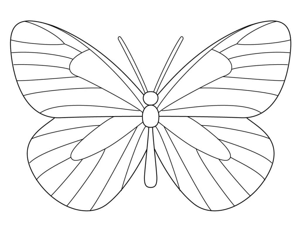 Easy How to Draw Butterfly Tutorial Video and Butterfly Coloring Page