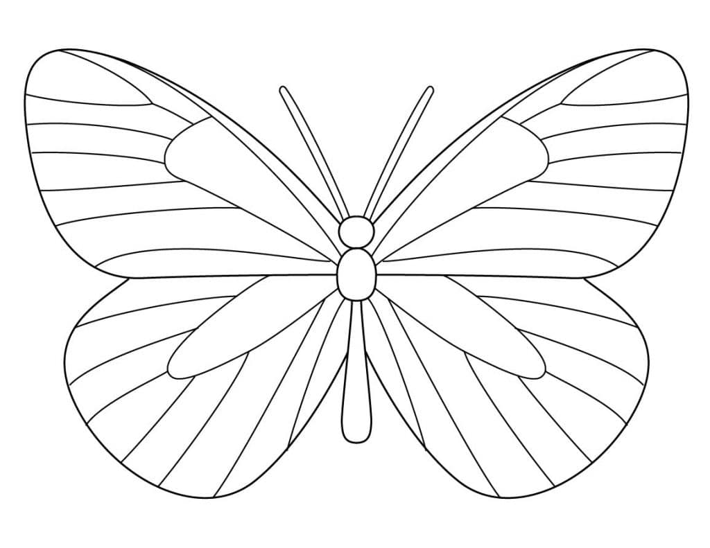 How To Draw A Butterfly Art Projects For Kids Shawn mendes has a butterfly tattoo on his arm and the story behind it is so sweet. how to draw a butterfly art projects