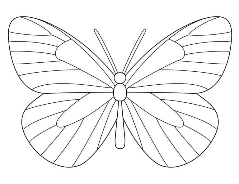 Easy How to Draw Butterfly Tutorial Video and Coloring Page