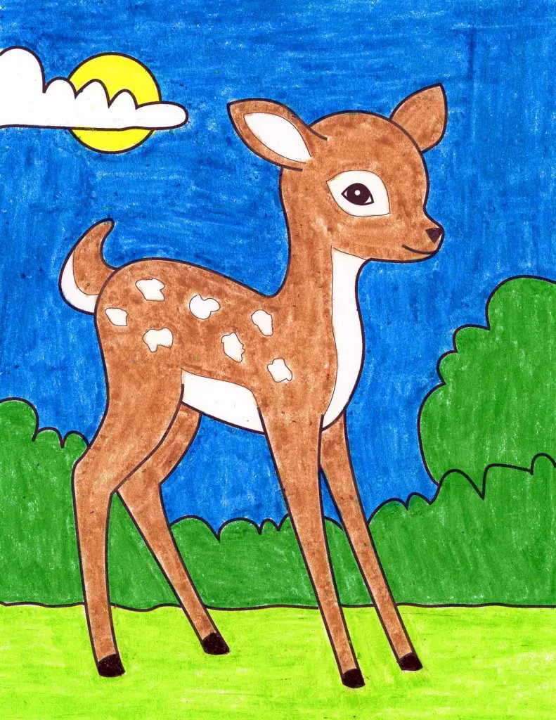 Vẽ con HươuHow to Draw Deer  YouTube