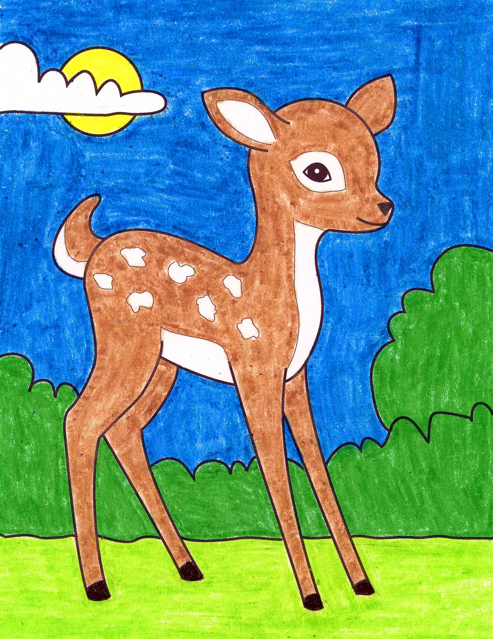 Deer Drawing Color Bestfreecoloringpages