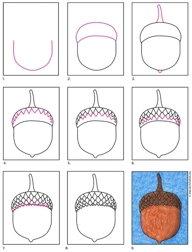 A step by step tutorial for how to draw an easy acorn, also available as a free download.