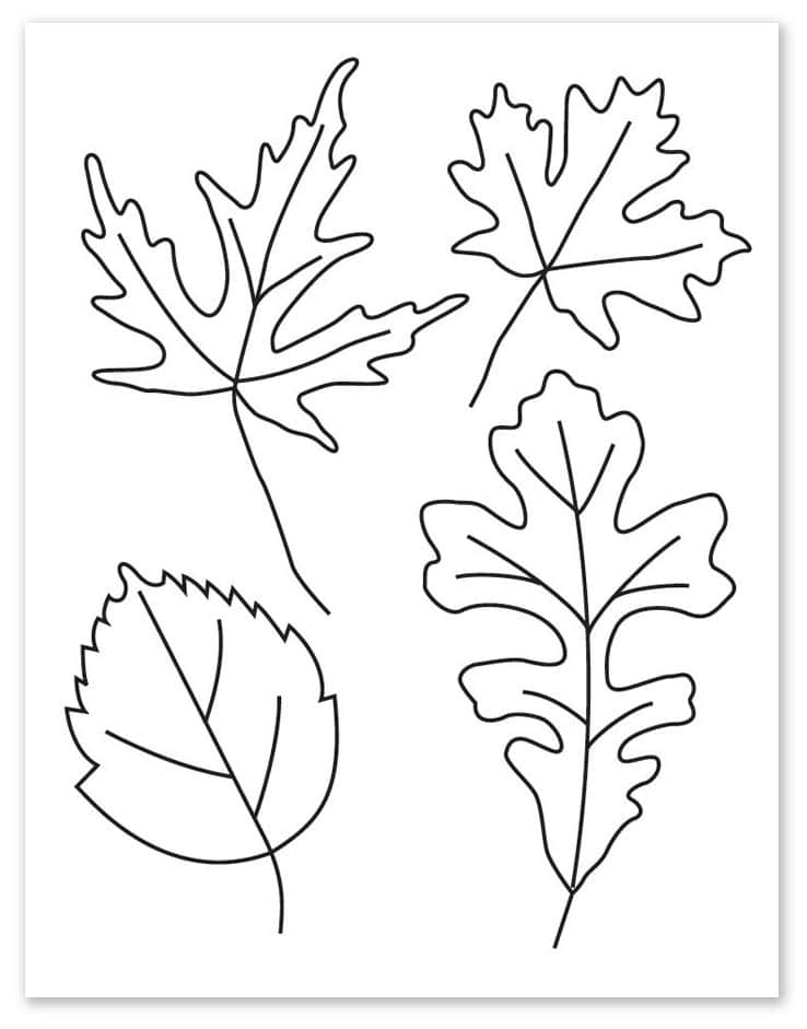 How To Draw Leaves Art Projects For Kids