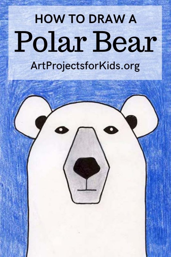 Featured image of post Art Hub For Kids How To Draw A Polar Bear : The beginning of any drawing process is too draw out the basic shapes of a polar bear.