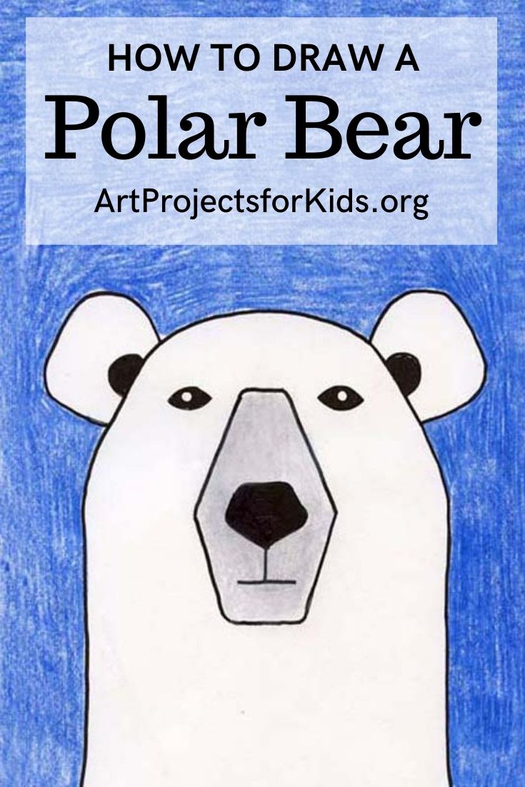 Draw a Polar Bear · Art Projects for Kids