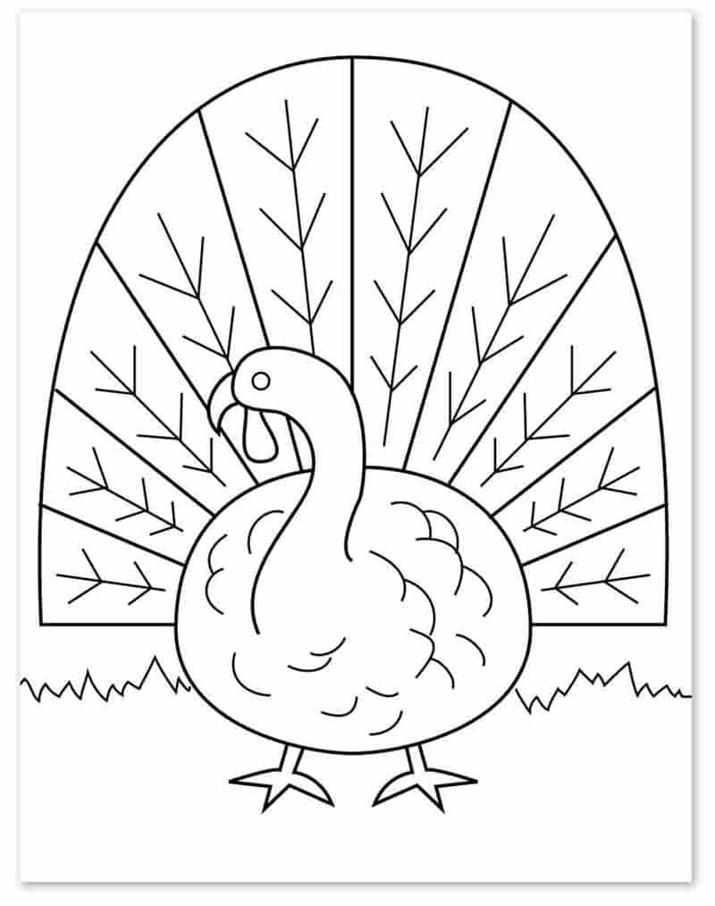 How To Draw A Turkey Art Projects For Kids