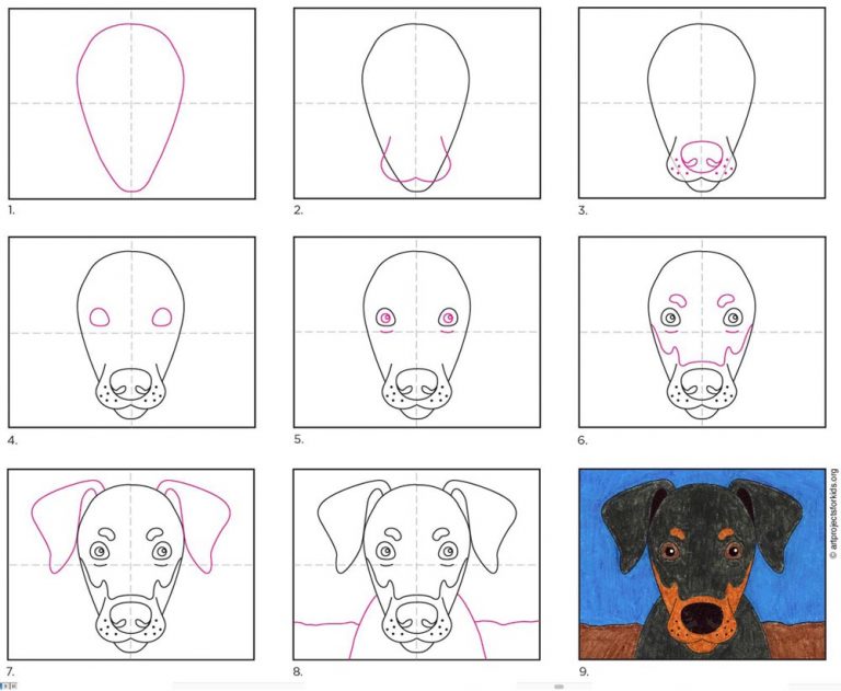 How to Draw a Doberman Dog · Art Projects for Kids