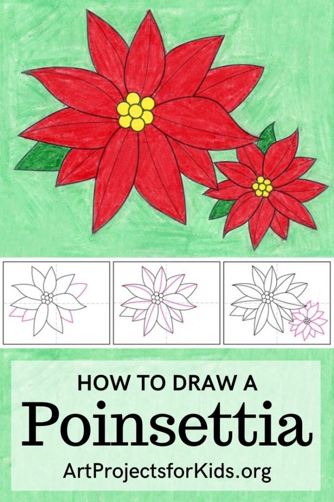 Easy How to Draw a Poinsettia Tutorial and Poinsettia Coloring Page